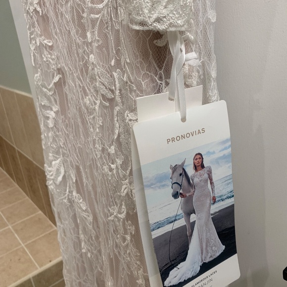 Pronovias Privee Panjin Wedding Dress - Picture 3 of 13